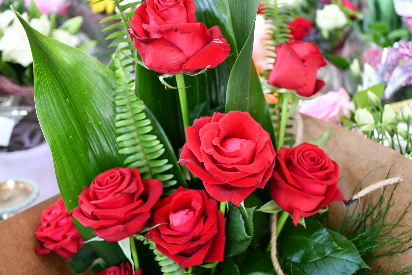 WhatsApp Image 2020-05-22 at 4.36.03 PM (2).jpeg.jpeg